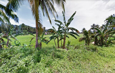 Pleasant Homestead Estate Near Ocean