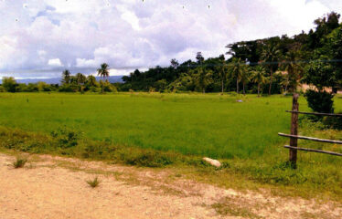 Pleasant Homestead Estate Near Ocean