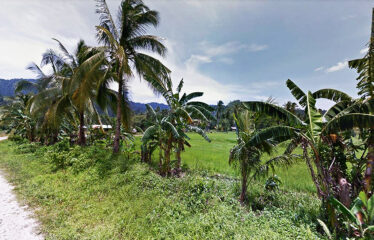 Pleasant Homestead Estate Near Ocean