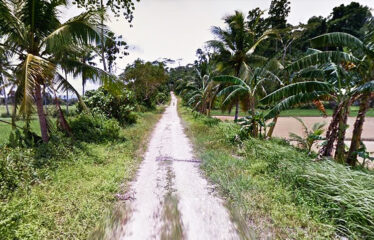 Pleasant Homestead Estate Near Ocean