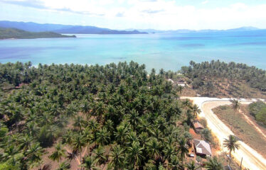 Exclusive Residential Estate Tourism Lots near Beach and Airport