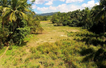 Exclusive Residential Estate Tourism Lots near Beach and Airport