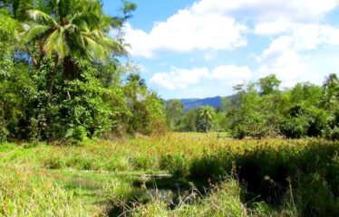 Exclusive Residential Estate Tourism Lots near Beach and Airport