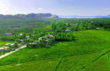 High-Potential Residential Tourism Estate