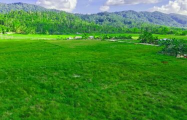 High-Potential Residential Tourism Estate