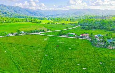 High-Potential Residential Tourism Estate