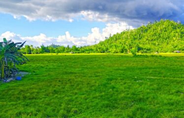 High-Potential Residential Tourism Estate