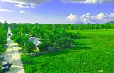 High-Potential Residential Tourism Estate