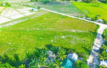 High-Potential Residential Tourism Estate