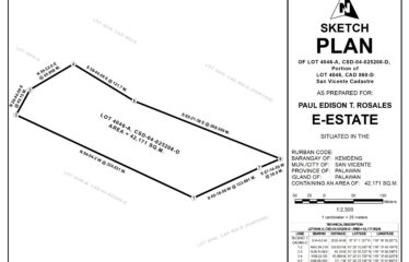 Exclusive Highland Estate Near Paragua Coastown