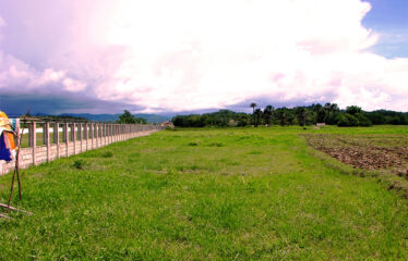 Industrial Commercial Estate Near Long Beach