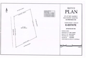 Commercial-Ready Estate Near Beach