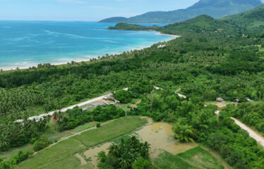 Commercial-Ready Estate Near Beach