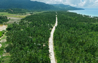 Commercial-Ready Estate Near Beach
