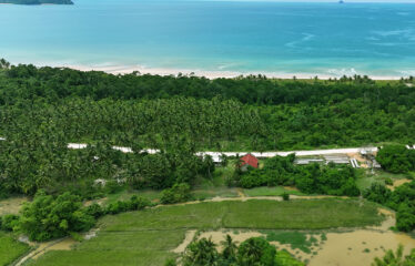 Commercial-Ready Estate Near Beach