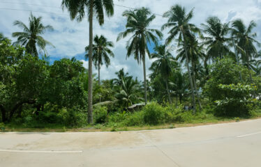 Commercial-Ready Estate Near Beach