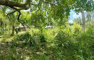 Commercial-Ready Estate Near Beach