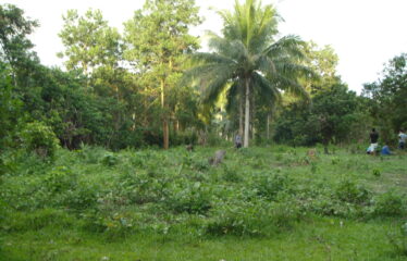 Agri-Residential Estate Near Beach