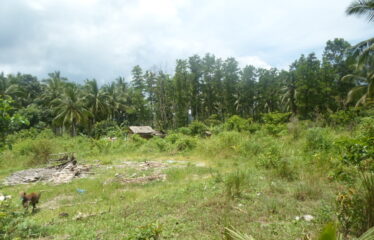 Agri-Residential Estate Near Beach