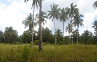 Agri-Residential Estate Near Beach