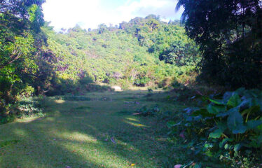 Expansive Estate with Overlooking Seascapes