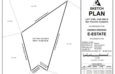 Expansive Overlooking Estate with Ocean Views