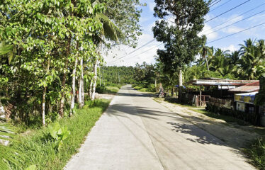 Prime Residential Coastal Estate